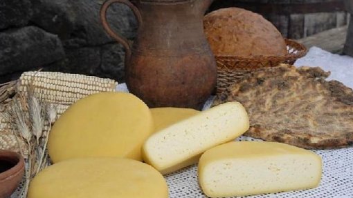 Estudo revela bactérias probióticas que reduzem colesterol no queijo do Pico