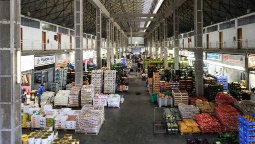 Covid-19: Postos de venda do Mercado Abastecedor do Porto fechados depois de detetados três casos