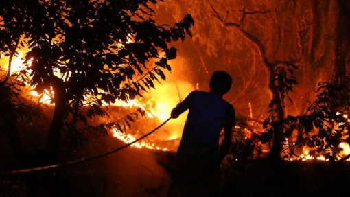 Mais de 30 concelhos de sete distritos em risco máximo de incêndio