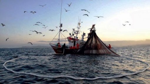 Covid-19: Governo assegura que não há casos de infeção decorrentes da pesca