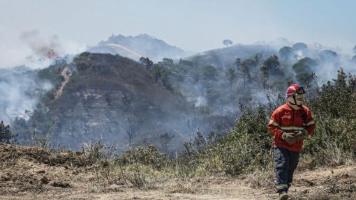 Incêndios: Trinta concelhos de cinco distritos do continente em risco máximo