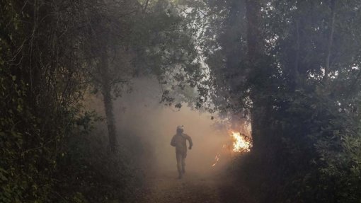 Quinze concelhos de seis distritos em risco máximo de incêndio