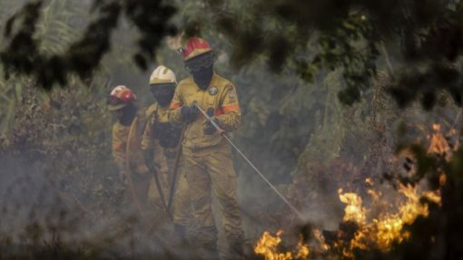 Mais de uma centena de concelhos de 14 distritos em risco máximo de incêndio
