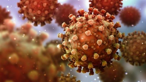 Covid-19: Imunidade após infeção no centro das dúvidas do combate ao vírus