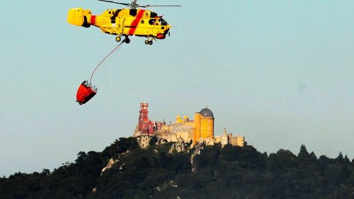 Incêndios: Trânsito interditado na serra de Sintra até ao final do dia de domingo