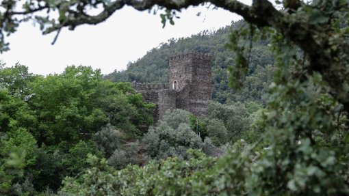 Incêndios: Lousã proíbe acesso ao Castelo e a percursos pedestres na floresta