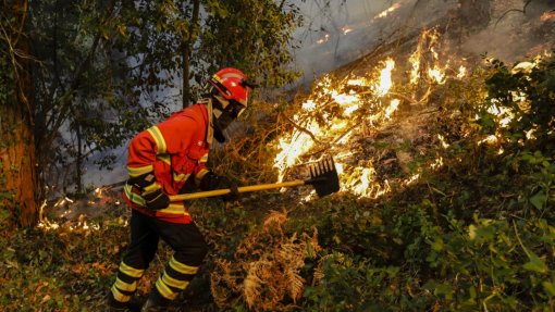 Incêndios: Fogo com duas frentes ativas em Montalegre mobiliza 150 bombeiros e 6 meios aéreos