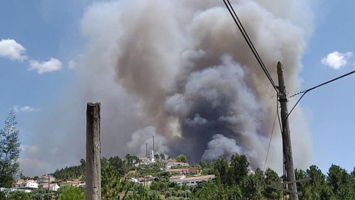 Incêndios: Mais de 250 operacionais combatem chamas em Abrantes