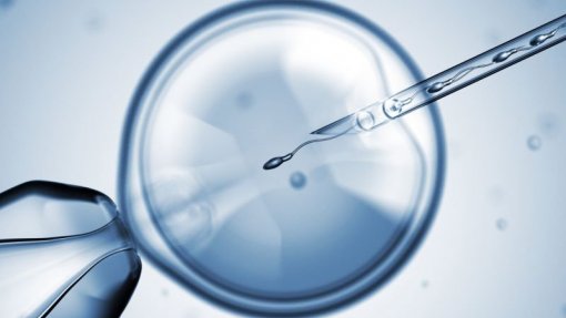 Associação quer 45 anos como limite para fertilização in vitro