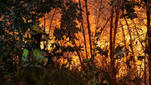 Cerca de 90 concelhos em risco máximo de incêndio