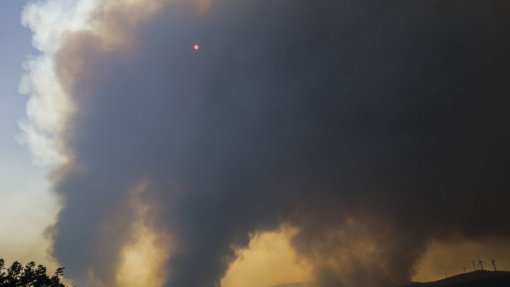 Incêndios: Primeiro balanço aponta para seis mil hectares ardidos no fogo de Oleiros