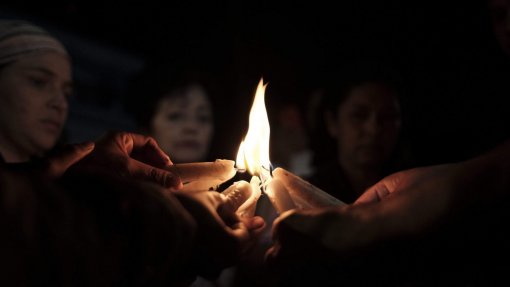 ONG Global Witness regista recorde de homicídios de defensores do ambiente em 2019