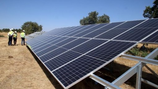 Central fotovoltaica em Mogadouro estimula emprego em tempos de crise pandémica