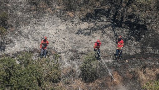 Incêndios: Cerca de 70 concelhos do Norte e Centro em risco máximo