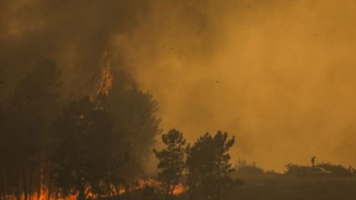 Incendiário reincidente detido na Sertã fica em prisão preventiva