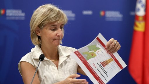 Covid-19: Menos um milhão de consultas no primeiro semestre, incluindo não presenciais - ministra