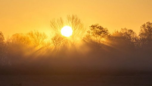 Aviso amarelo por causa do calor em Évora e Beja