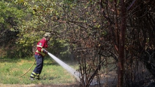Cerca de 60 concelhos do interior Norte, Centro e Algarve em risco máximo de incêndio