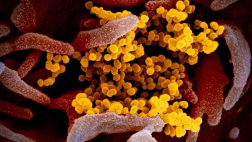 Covid-19: Mais de 743 mil mortos e 20,3 milhões de infetados em todo o mundo