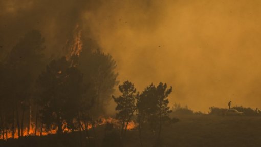 Vinte concelhos do interior Centro em risco máximo de incêndio