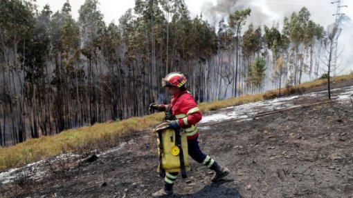Incêndios: Três concelhos dos distritos da Guarda e Faro em risco máximo