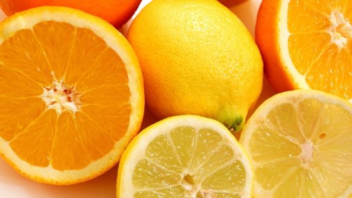 Bruxelas proíbe temporariamente importação de laranjas e limões da Argentina
