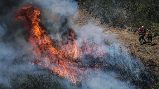 Incêndios: Concelho de Tavira no distrito de Faro em risco máximo