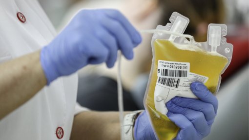 Covid-19: Polónia inicia produção de medicamento experimental com plasma sanguíneo