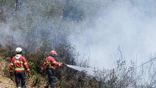Incêndios: Três concelhos dos distritos da Guarda e Faro em risco máximo
