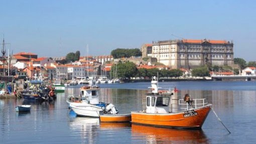 Covid-19. Comunidade piscatória de Vila do Conde e Póvoa de Varzim com 12 casos ativos