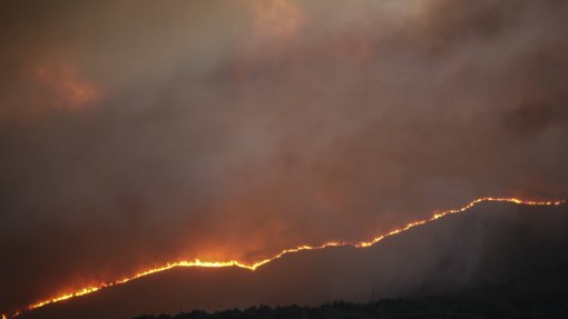 Incêndios: Mais de 40 concelhos de sete distritos em risco máximo