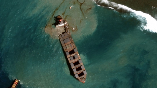 Encontrados mortos pelo menos 13 golfinhos após derrame de navio nas Maurícias