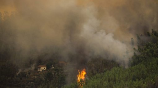 Incêndios: Cerca de 40 concelhos de seis distritos em risco máximo
