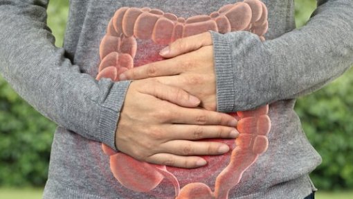 Investigadores da U.Porto tentam encontrar terapia mais eficaz para cancro do colón
