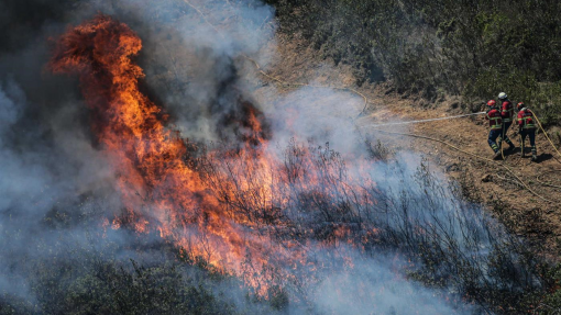 Incêndios: Mais de 60 concelhos de oito distritos em risco máximo