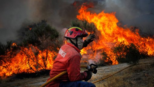 Mais de 140 operacionais combatem fogo em Mondim de Basto