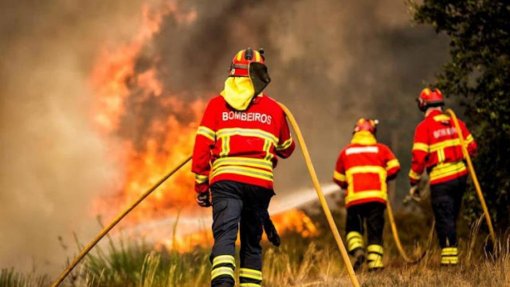 Incêndios: Mais de 50 concelhos de nove distritos do continente em risco máximo