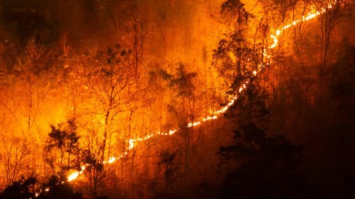 Incêndios: Área ardida aumenta 35% este ano face a 2019