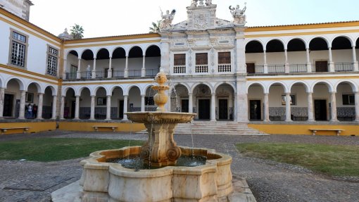 Universidade de Évora descobre nova espécie de planta na Costa Vicentina
