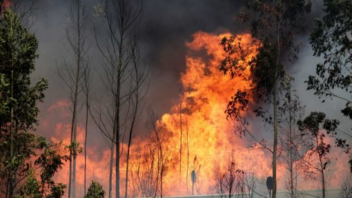 Mais de 60 concelhos de oito distritos do continente em risco máximo de incêndio