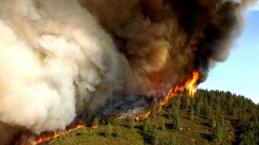 Mais de 80 concelhos de 10 distritos do continente em risco máximo de incêndio