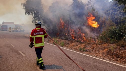 Cerca de uma centena de concelhos de 14 distritos em risco máximo de incêndio