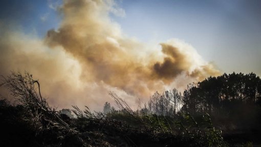Combate ao fogo no parque natural em Porto de Mós “evolui favoravelmente”