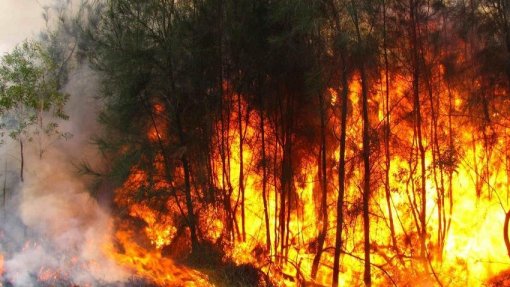 Mais de 1.000 operacionais combatiam 17 fogos rurais às 16:15