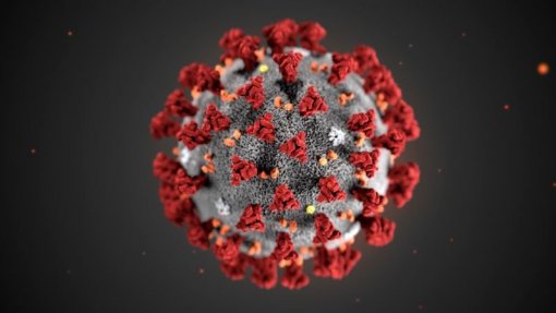 Covid-19: Mais de 893 mil mortos e 27,3 milhões de infetados em todo mundo