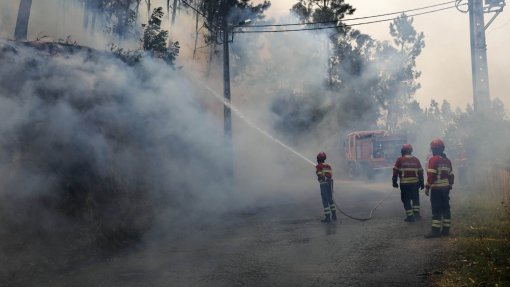 Fogo em Sever do Vouga tem “várias frentes” mas sem casas em perigo - autarca