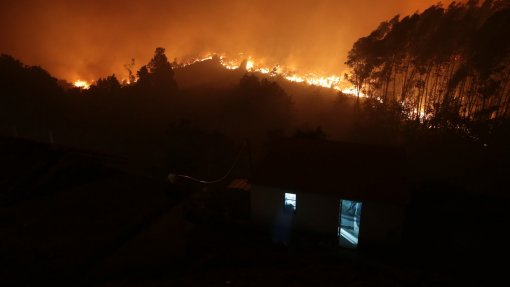 Mais de 700 operacionais combatem fogo que deflagrou em Oliveira de Frades