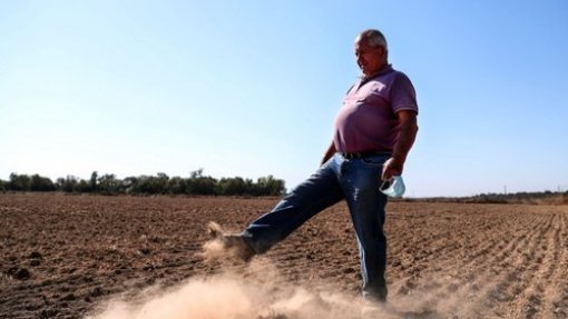 Seca: Sem rega a partir de barragem no Alentejo, agricultores olham para &quot;terra descascada&quot;