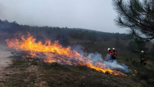 Mais de meia centena de concelhos de nove distritos em risco máximo de incêndio