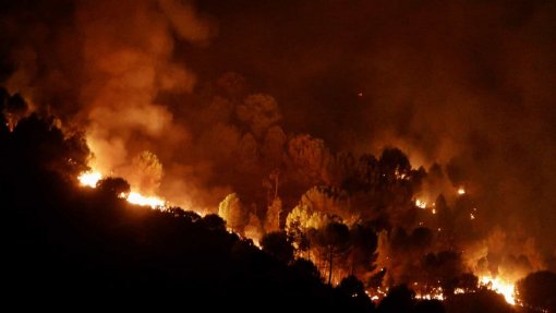 Incêndios: Chamas sem fim à vista em Caminha após mais de 24 horas de combate - CDOS